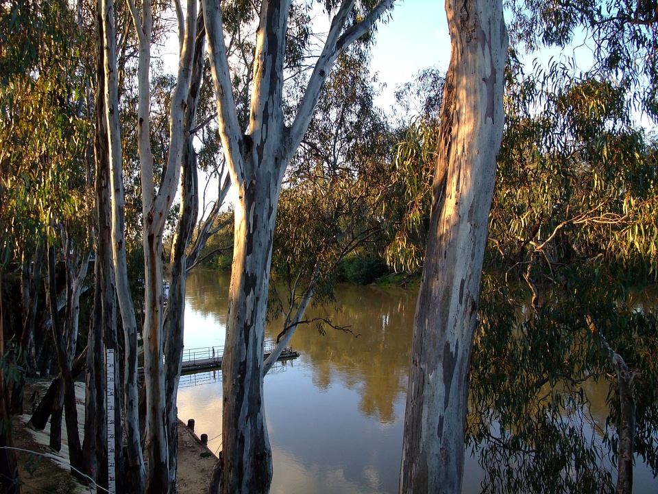 Echuca river water