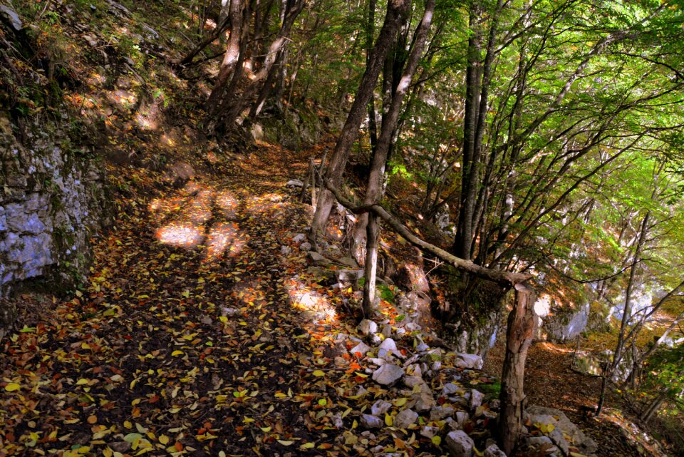 Trail mountain the european path