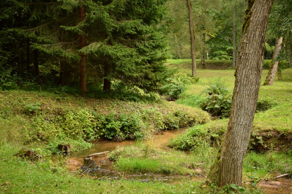 Landscape water stream