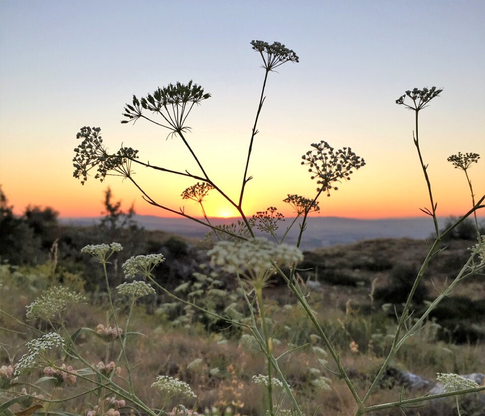 Sunset coucher de soleil Free photos