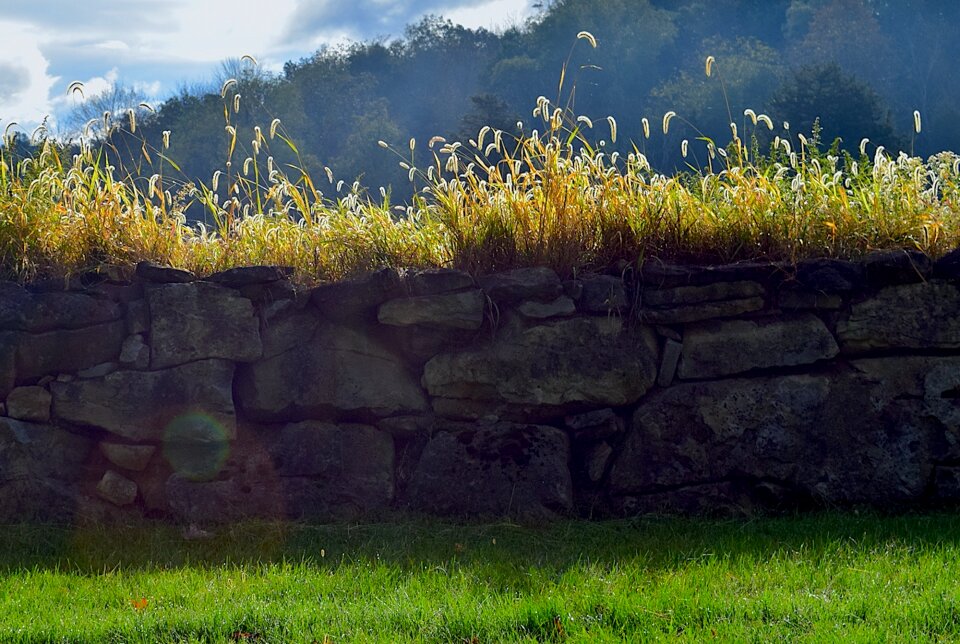 Stone wall summer