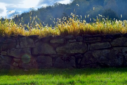 Stone wall summer photo