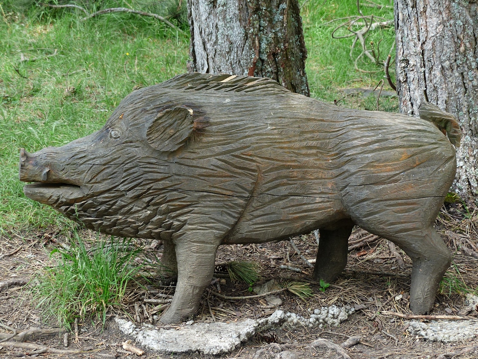 Pig sow nature trail