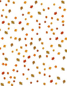 Background fall leaves background season