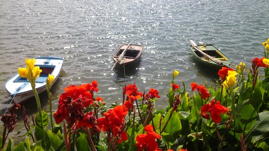 Boats beach fishing photo