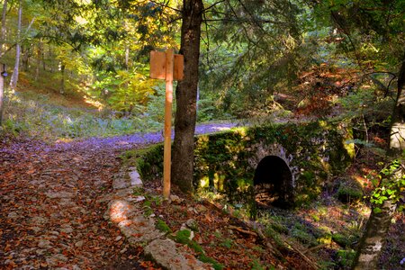 Autumn trail mountain