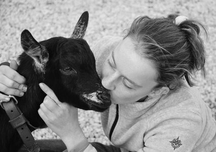 Goat complicity tenderness photo