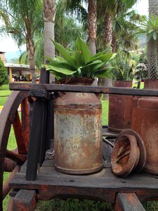 Cart landscape vintage
