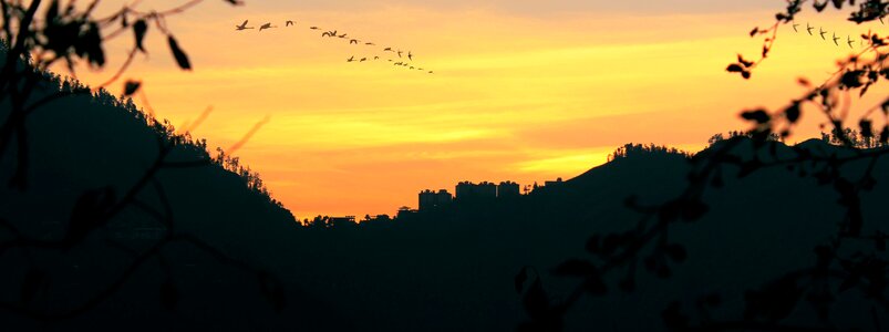 Pradesh north hill