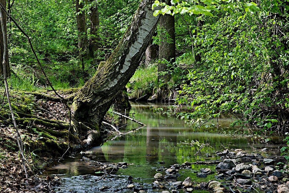 Stones water surface