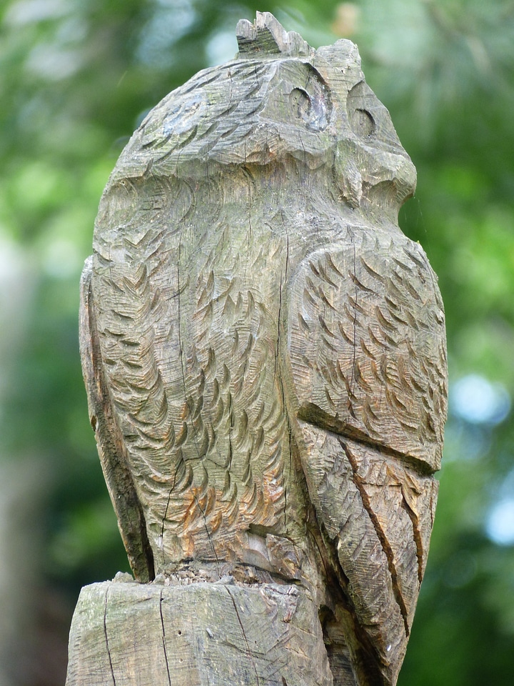 Nature trail holzfigur figure