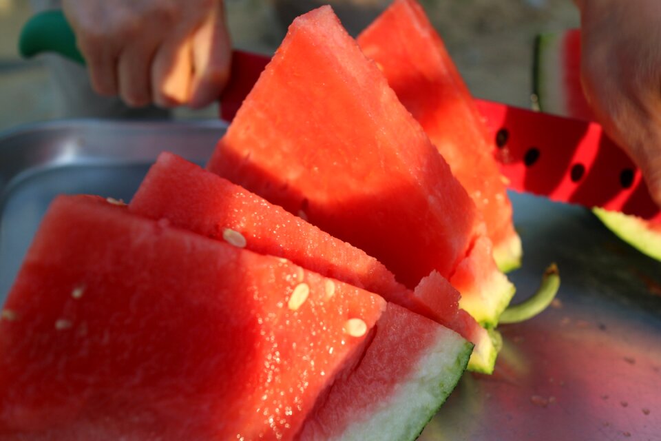 Watermelon sculpture carl