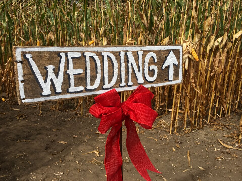 Country rural love