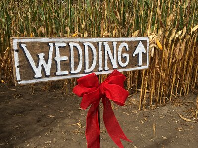 Country rural love