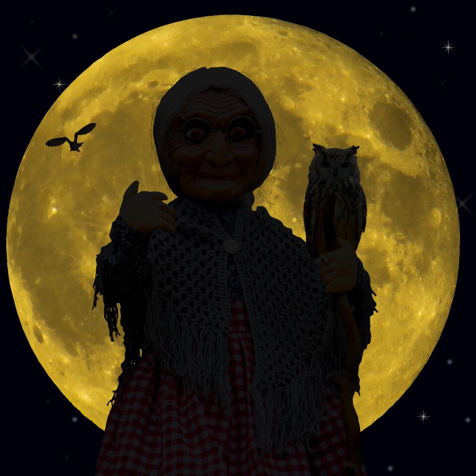 The witch moon halloween