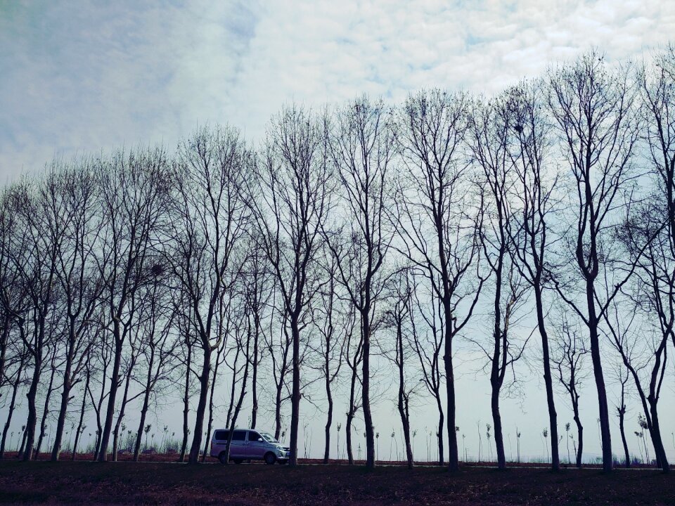 Self-drive tour phone photos china
