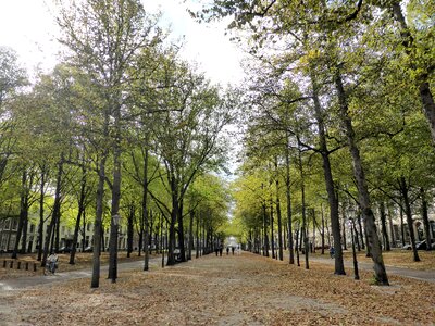 Leaves fall colors city ​​tour