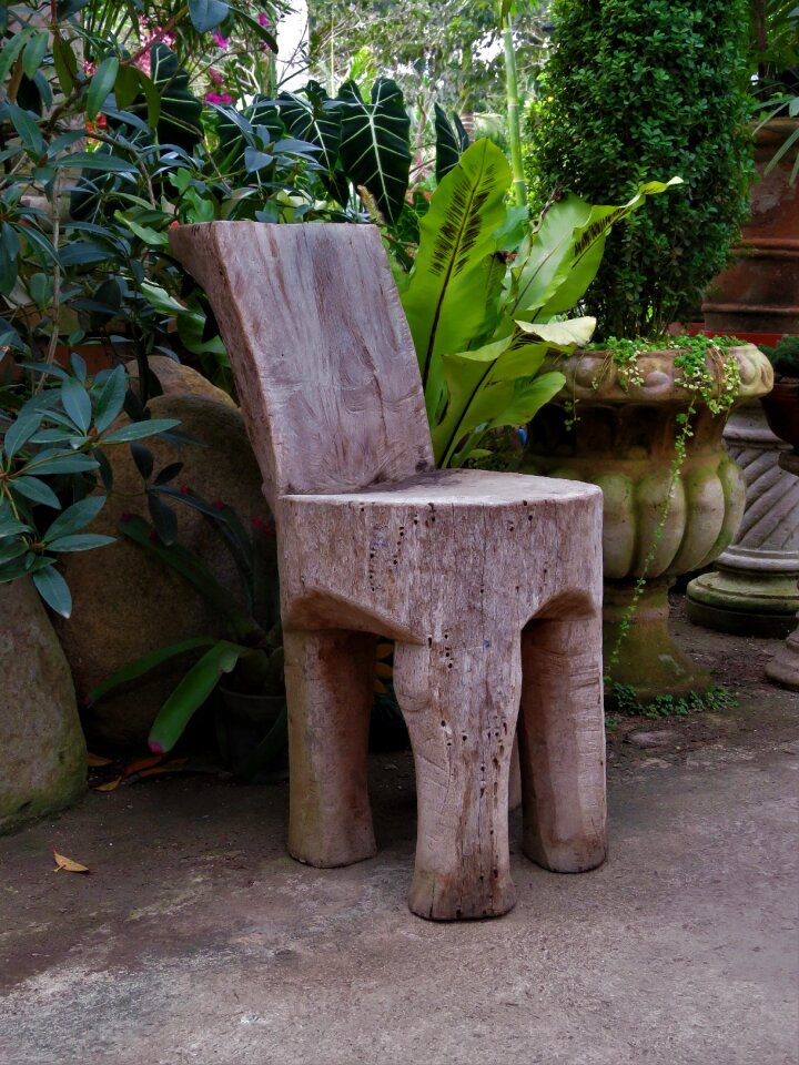Carved chair rustic
