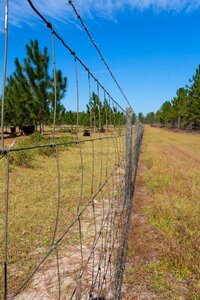 Rural grass rustic