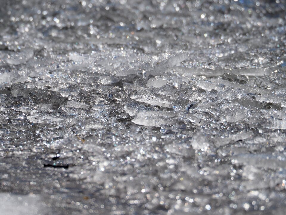 Winter sparkle frozen
