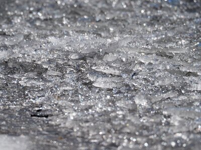 Winter sparkle frozen