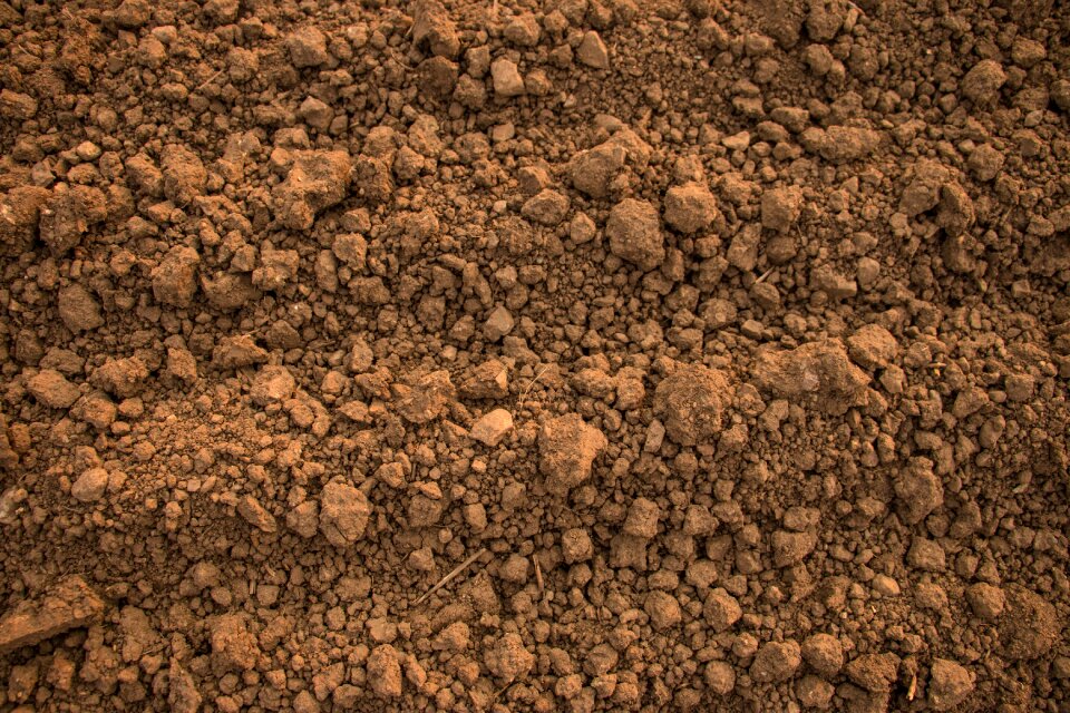 Sand cracked ground