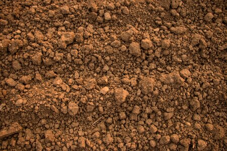 Sand cracked ground