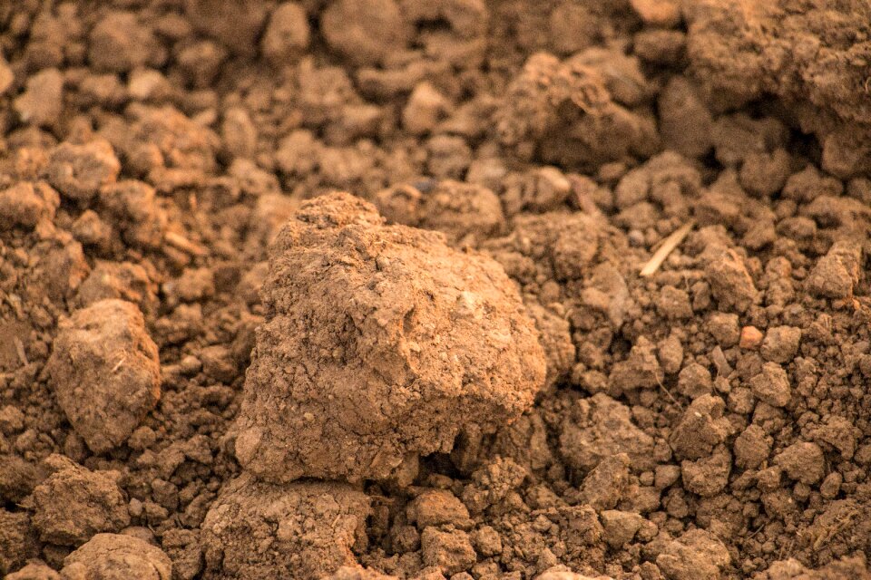 Sand cracked ground