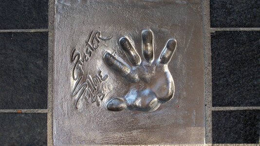 Cannes stallion footprint