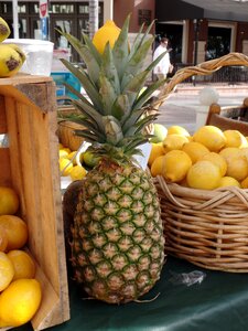 Fruit tropical lemons photo