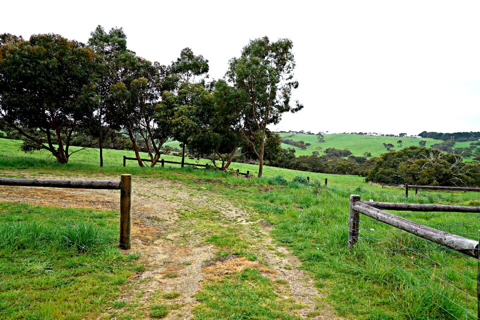 Gravel road pathway farmland