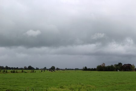 Dark dutch landscape clouds photo