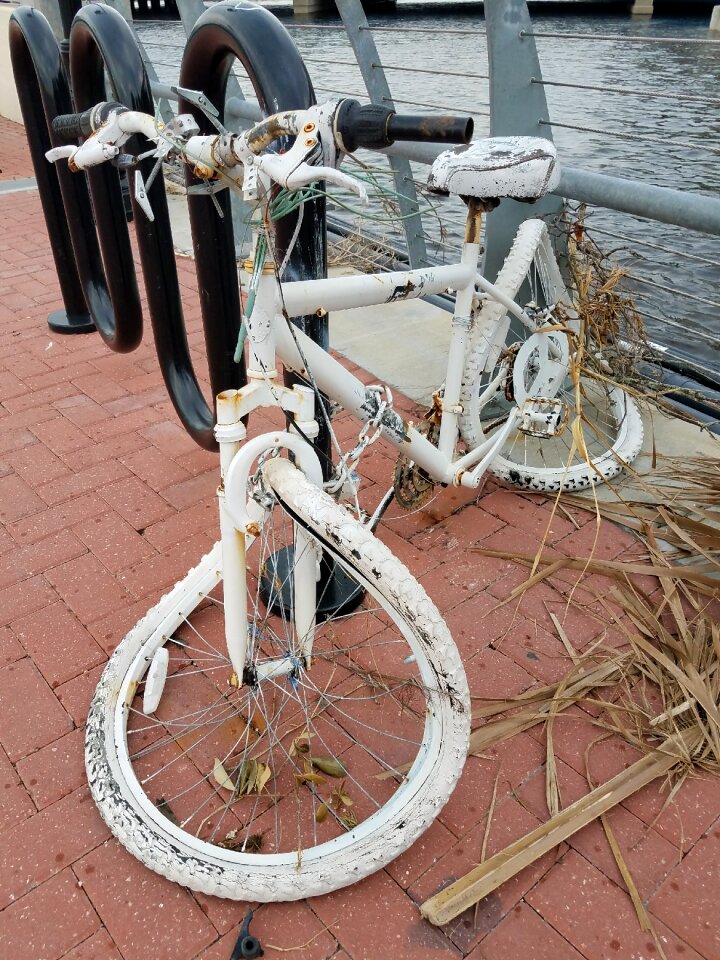 Jacksonville landing damage