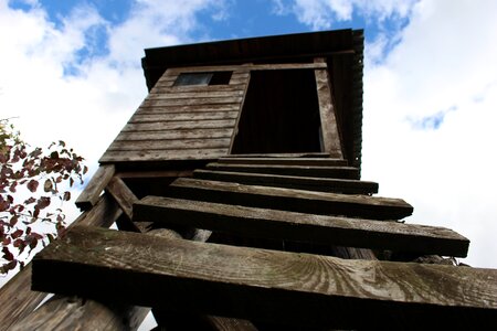 Wood the sky clear
