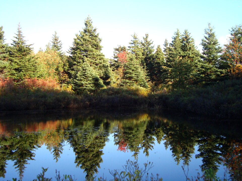 Reflection nature