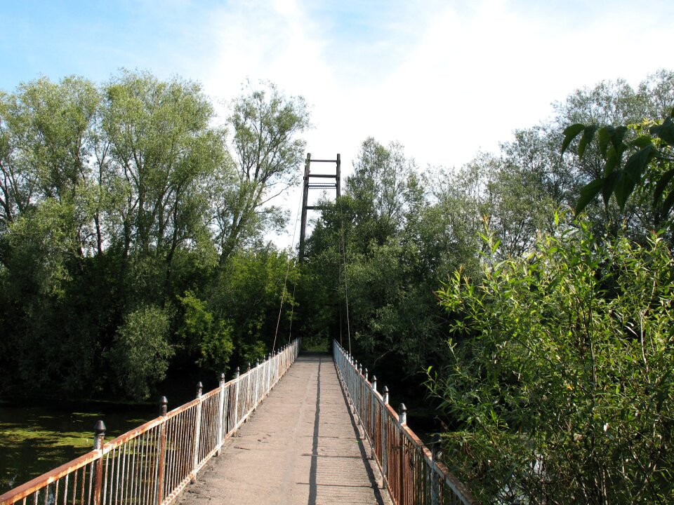 Summer away nature