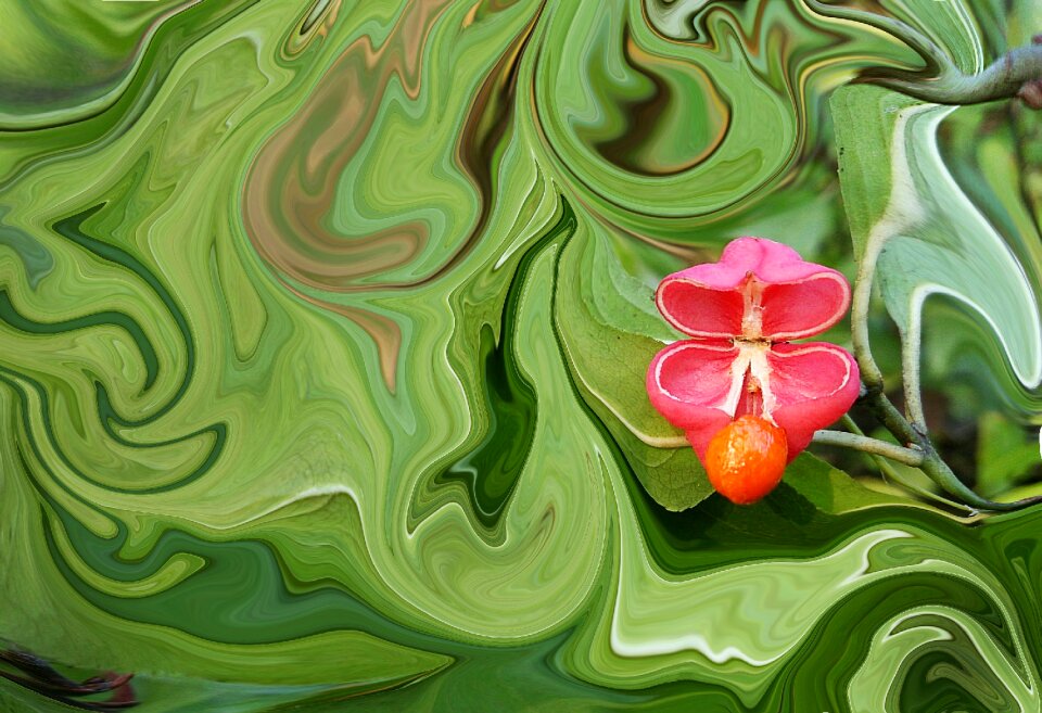 Flowers beautiful flower closeup