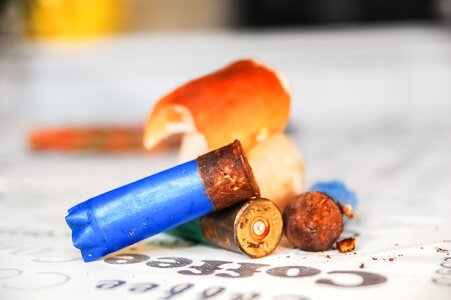 Hunting fall ammunition
