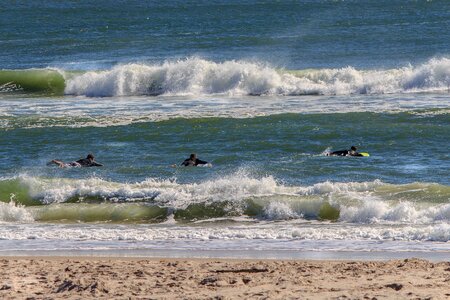 Surfers surfing waves photo