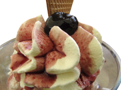 Ice cream enjoy feasting