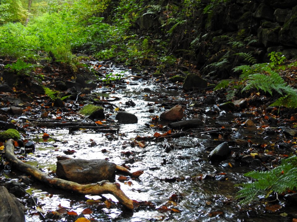 Water watercourse waters