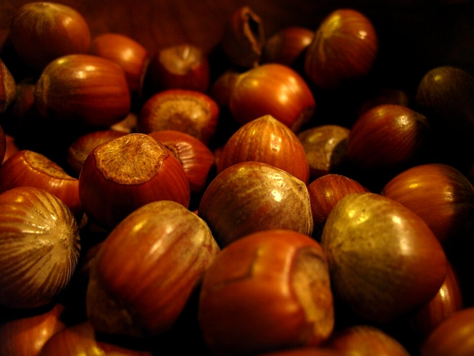 Nuts hazelnuts christmas