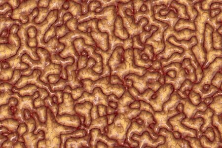 Coils biology abstract
