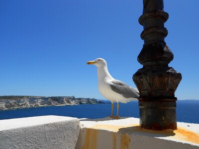 Corsican holiday sea
