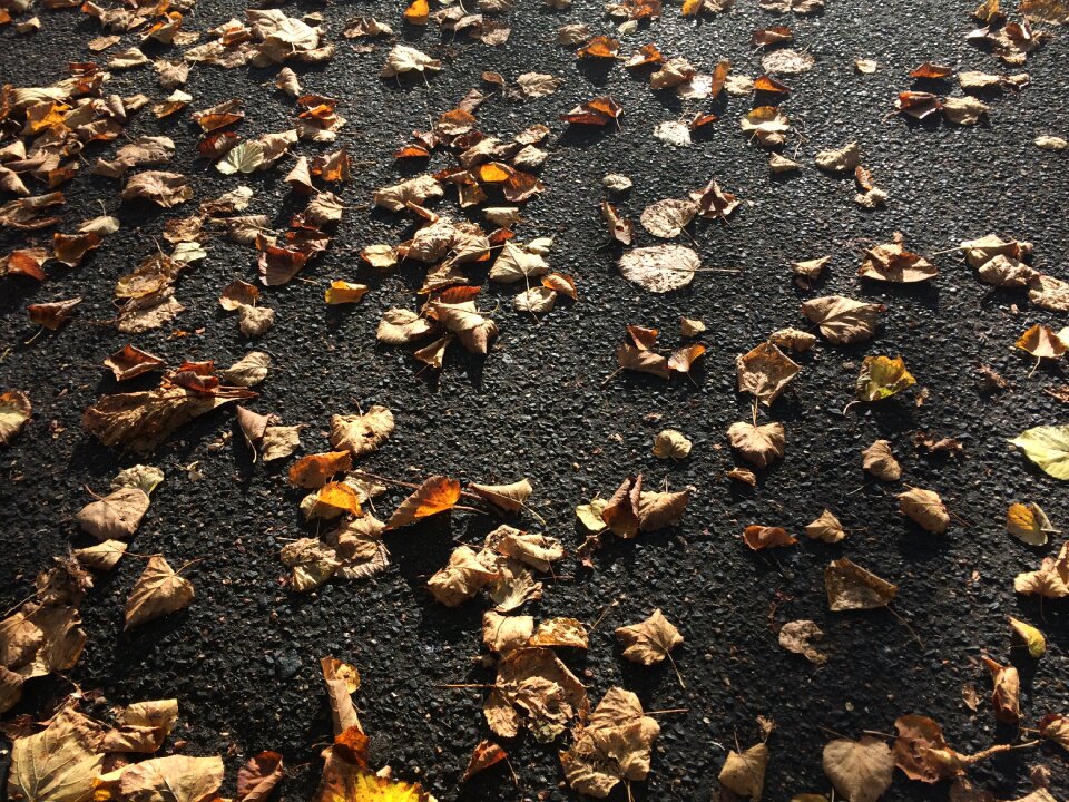 Autumn london