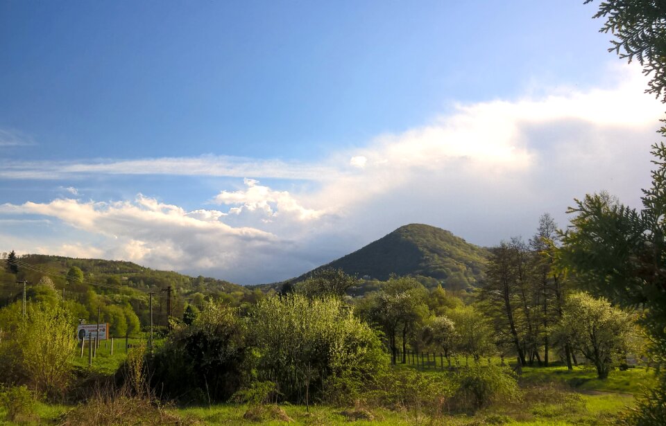 Heaven landscape trees