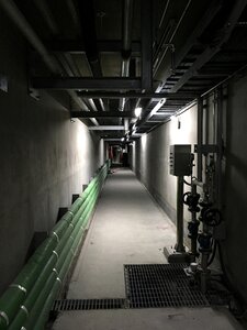 Underground the darkness fear