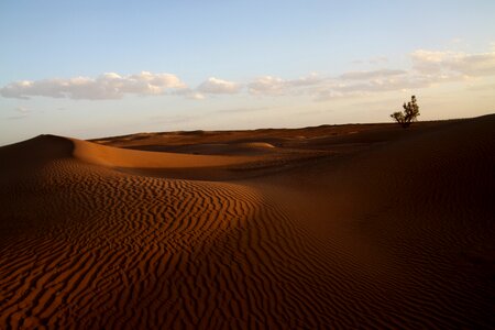 Sand dunes nature