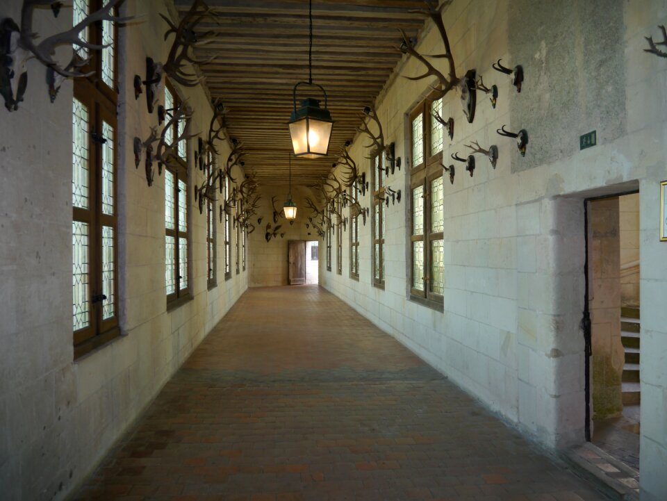 François 1er renaissance architecture