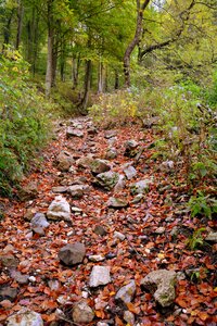 Excursion mountain the european path